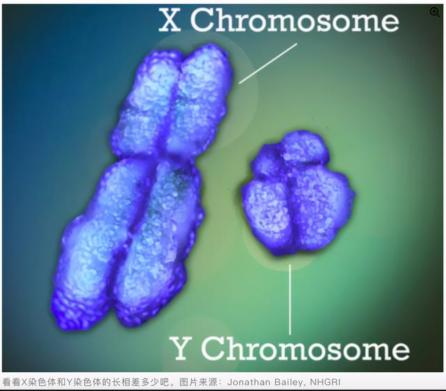 “转胎丸”是什么?父母以为可以女转男,其实是在制造双性婴儿