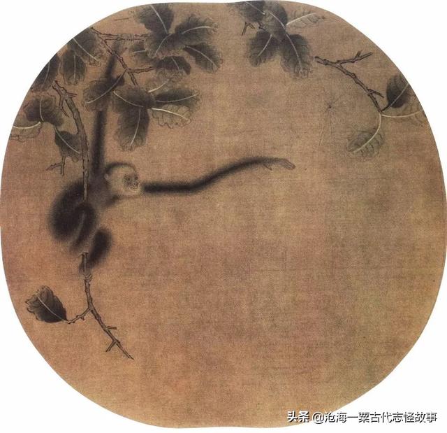 古代志怪故事：猿妖