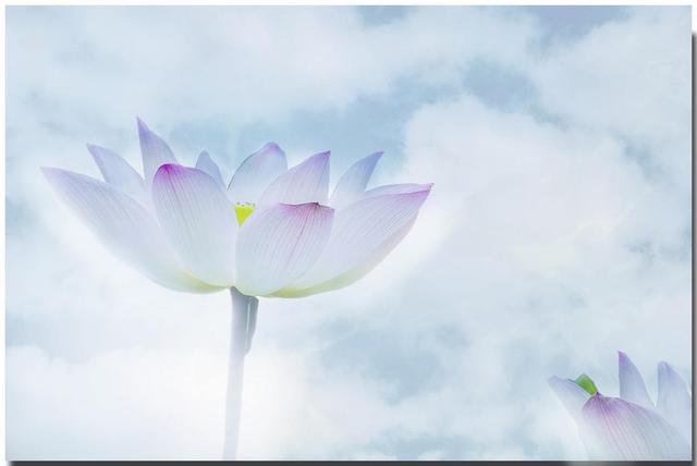 易经：头脑变了，人就神了