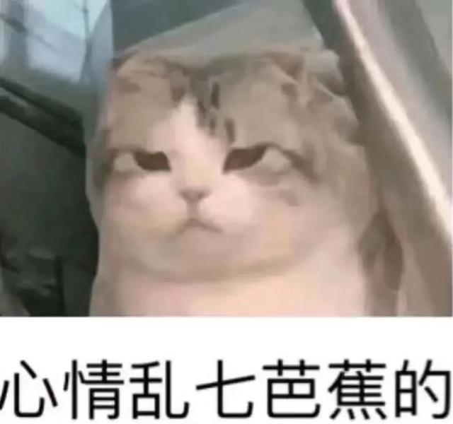 在四川听过最扯把子的话，是@￥的对我说的话