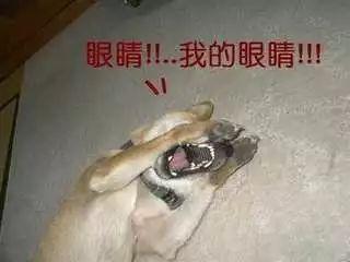脸上哪颗痣可以让我走向人生巅峰