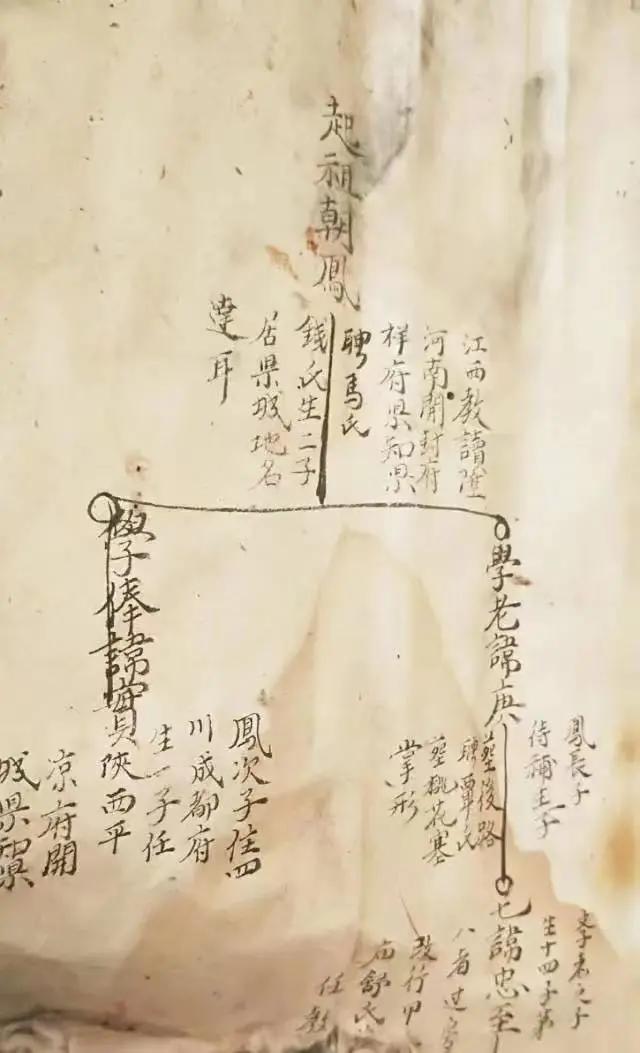 江南弃儿3岁被送养，60年后站在父母墓前：谁也不能再说我是野种