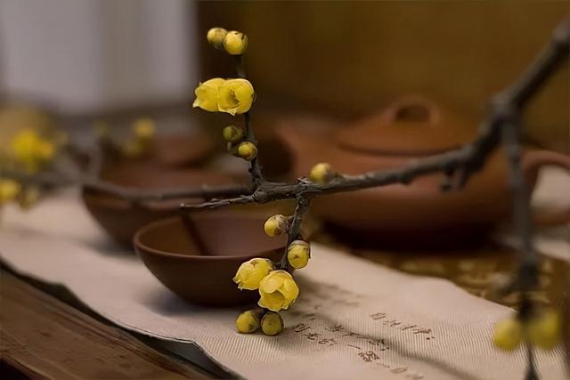 悟道—讲一讲“好人真的没好报”吗？