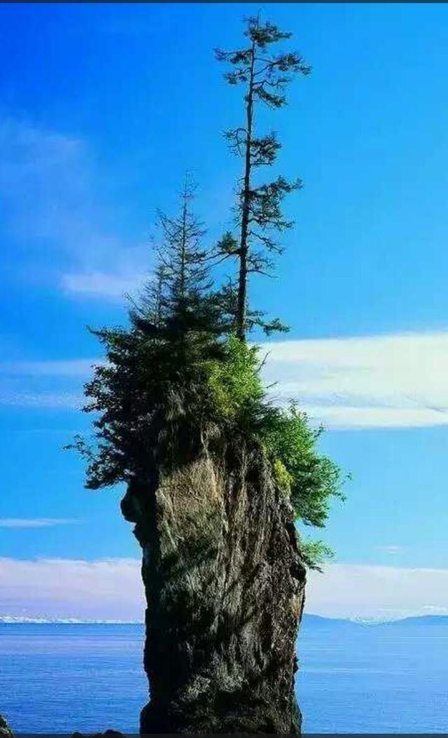 我的父亲是@￥的