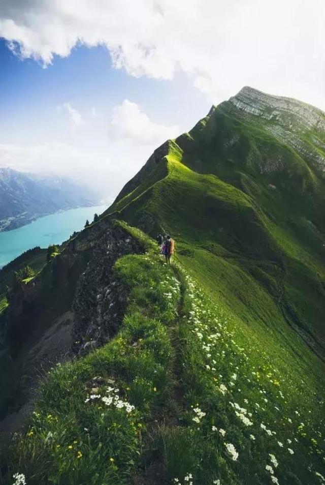 我的父亲是@￥的