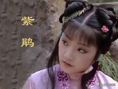 台湾《红楼梦》61：宝玉拒绝长大，黛玉将死，平儿逼雪雁陪嫁