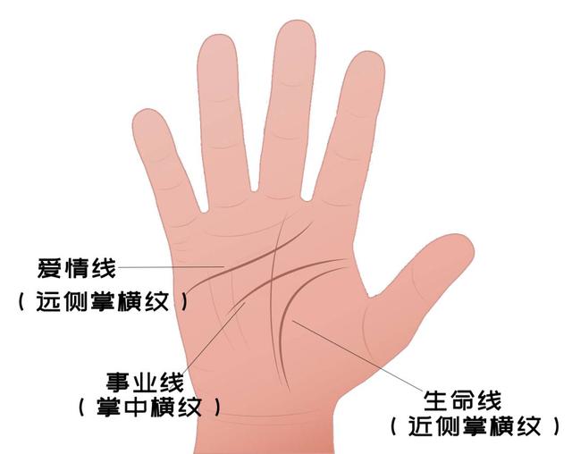 医学角度下的手相：手纹、指甲……暗示了什么？