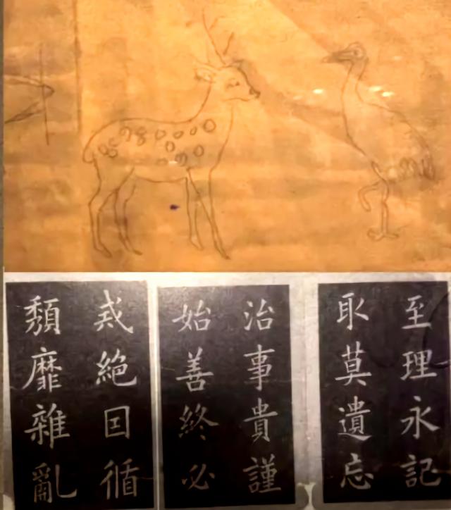 从出生就入狱，8年牢狱生活从未尝过糖果的味道，牺牲前身中数刀