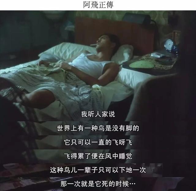 《阿飞正传》：飞越命运的虚无之境