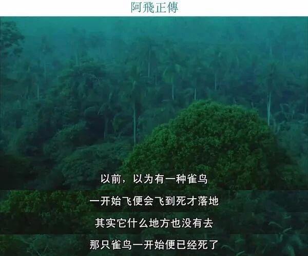 《阿飞正传》：飞越命运的虚无之境
