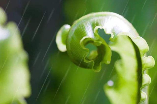 “春雷响，万物长”，惊蛰当天打雷好不好？看看农村谚语就知道