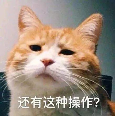 这两名“@￥大师”被抓！快看你认识吗？