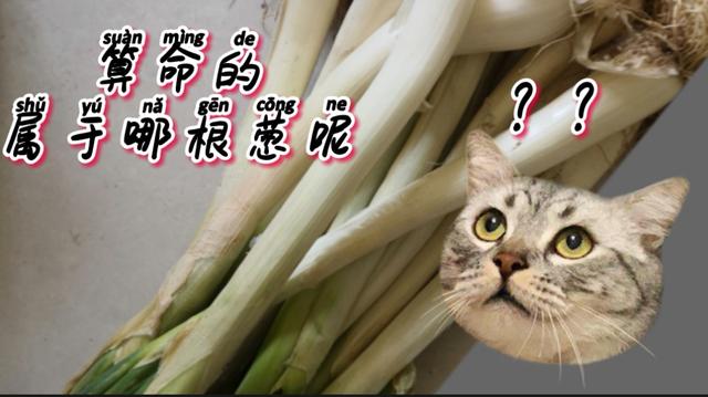 能不能和男朋友结婚❗我得先去问了@￥的才能决定❗❗