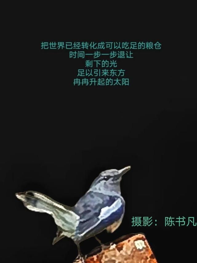 和艺术家谈天说地