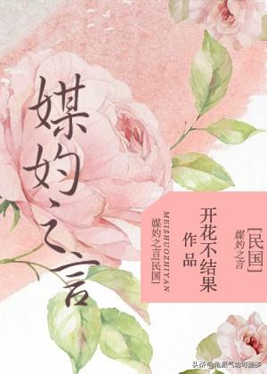 完结小说推荐 民国文 民国乱世是绝地重生还是湮没情长~