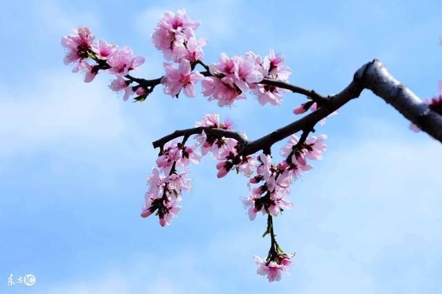 从农历出生月份看你的婚姻与运势，太准了！