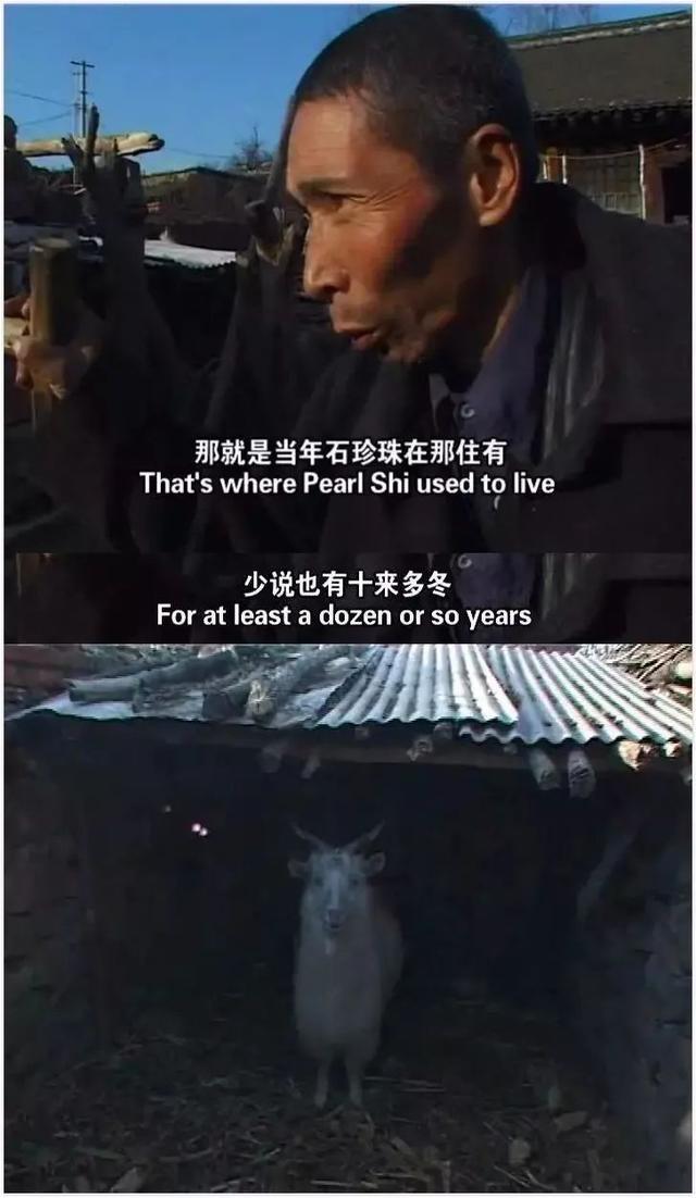 《@￥》：这部地下纪录片像剃刀般无情，揭开了底层人隐秘的疮疤