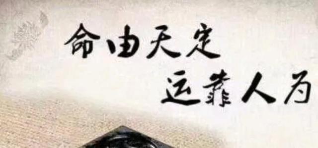 命运的大手和毛细血管