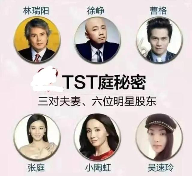 “戏精”张庭套路太深，陶虹提前退股，但罚款责任，恐怕一样不少