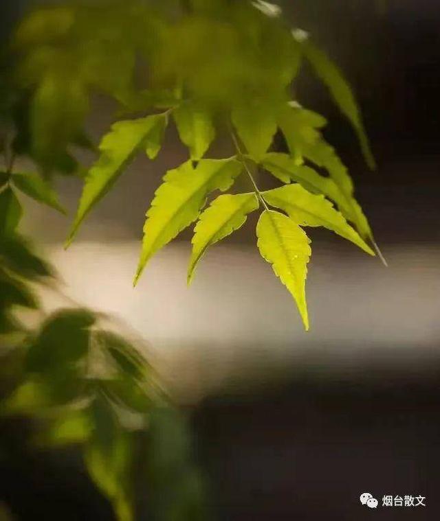 林其兴｜|我的矿工父亲