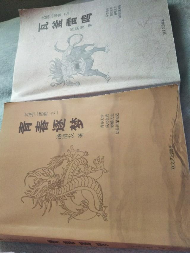 历史厚重感与时代前卫性并举一一读汤清发“大道