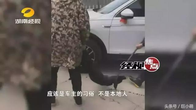 大清都灭亡了！怎么还有人迷信养狗死全家