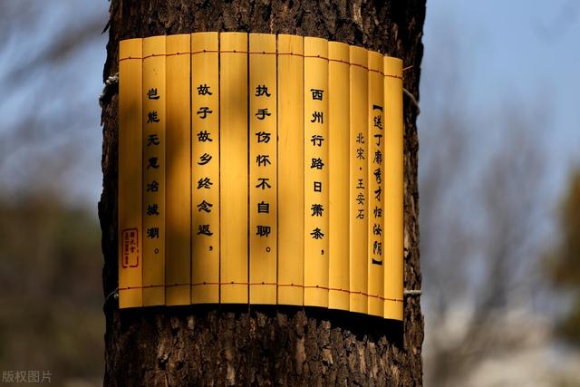 《资治通鉴》笔杆子才是政治家最厉害的武器
