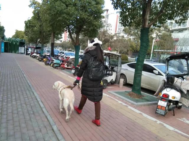 盲人只能做按摩？她不认命，却被取消考研资格