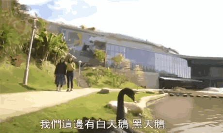 新年去算卦？不如试试”基因@￥“