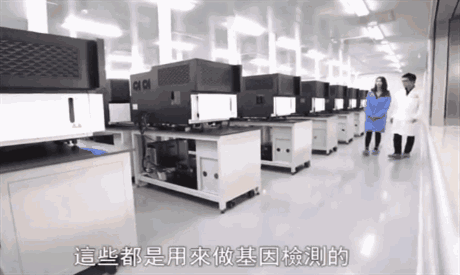 新年去算卦？不如试试”基因@￥“