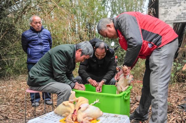 人为什么要过生日