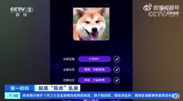 狗命都能算的“AI@￥”，你算的是命，人家算的是钱