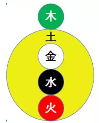 真化教练分享：为何五行思维是科学思维？