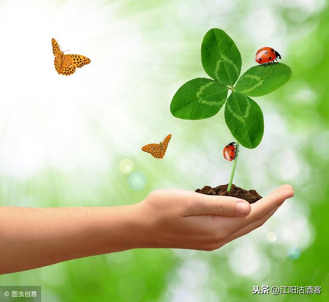 命和运其实是两个不同的概念，你知道它们可以掌握吗？