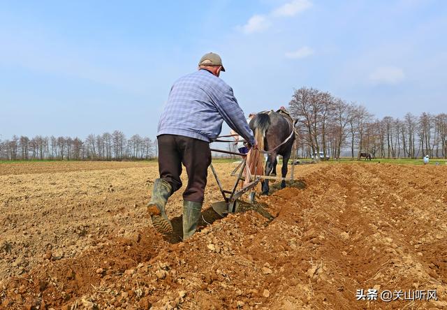 农村俗语：穷人不用把命算，只对圈里猪仔看，啥意思？有道理吗？
