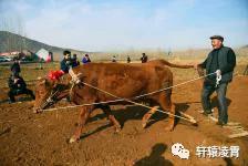 形意拳门之降龙伏虎两根火腿论