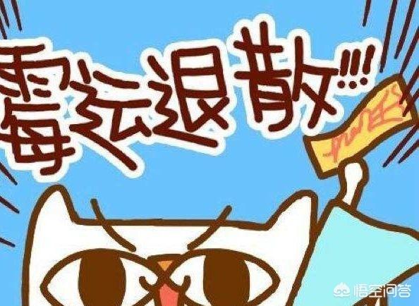 人走霉运的几个原因，怎样改变？