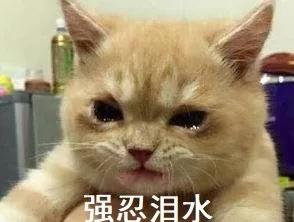 最近广为流传的“AI@￥”究竟是什么？我们来聊聊它的科学性
