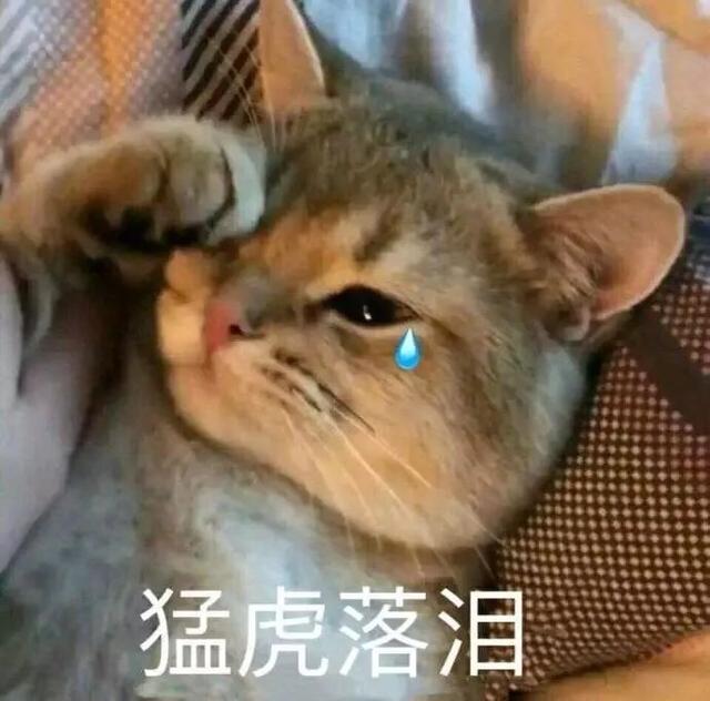 免费@￥套路深