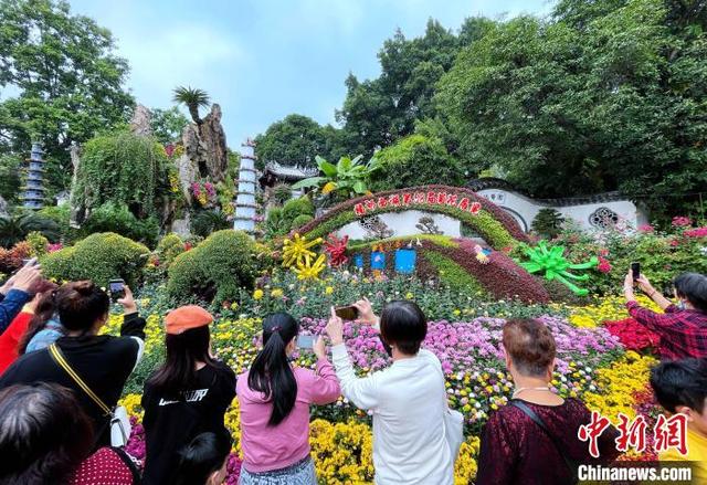 1000多种菊花亮相福州金秋菊花展