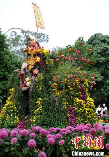 1000多种菊花亮相福州金秋菊花展