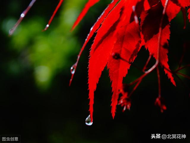 劫财当如何？有花堪须折