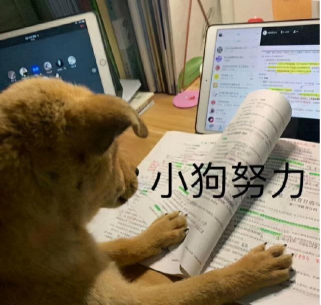 不管在什么年代，@￥都是一笔好生意