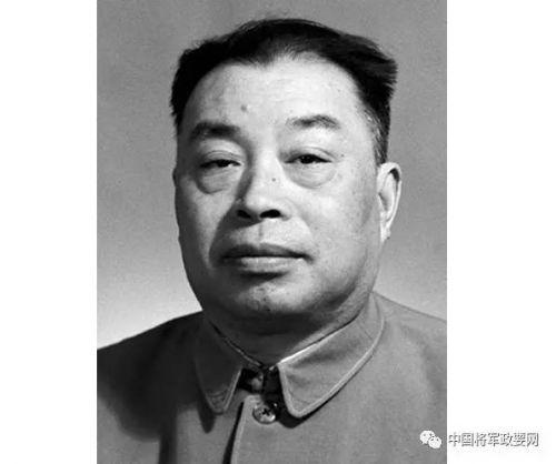 半个神仙——@￥将军杨至诚