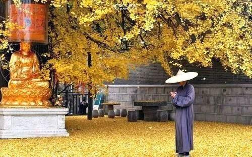 老僧说：越是彼此相爱的人，“夫妻相”越明显