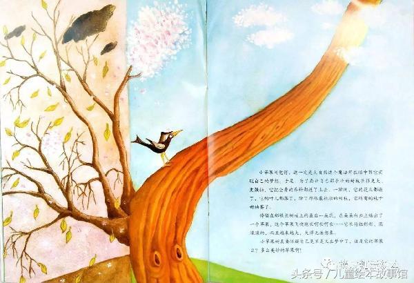绘本故事《一个长上天的大苹果》分享的快乐