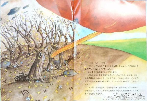 绘本故事《一个长上天的大苹果》分享的快乐