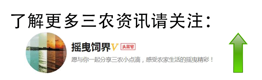 农村@￥的大师盛行，你算过吗？网友：算过，我38岁时才会发财！