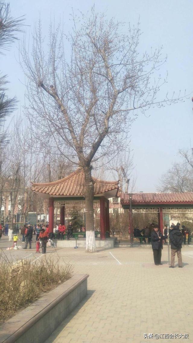 记忆中的天津王串场新村
