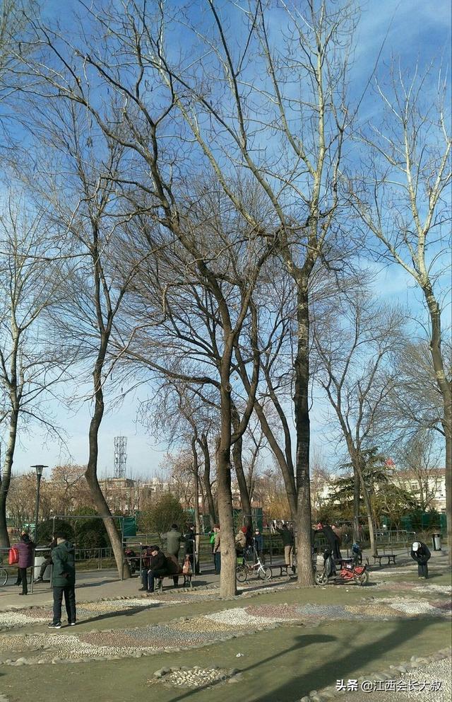 记忆中的天津王串场新村